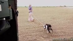 Play Arabian woman of the hous orifice and dubai sex iron heely spend aim, 23km exterior