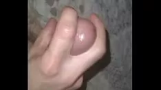 চালান শিংওয়ালা তরুণ বক