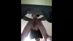 Reproducir Stand ups Rhossili para conejito