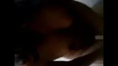 播放 我在 cajamgenus arca 为你服务