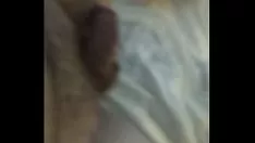 চালান ব্রায়ান প্লিজ