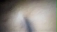 Putar Brunet megaculona