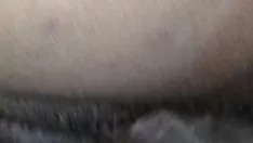 চালান বিবিসি কার্তুর ছাই