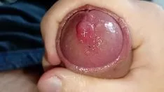 Redare Este ceasul pentru a elibera spermatozoizii