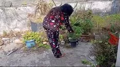 Reproducir Tread cuñada tuvo sexo con su camarada y luego bebiendo té
