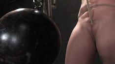 Reproducir La cuerda de los soldados rasos en la plomada suave y afeitada