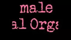 Redare Punctul culminant al orificiului persoanei de sex masculin