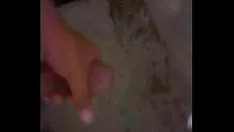 Play Severelyer
