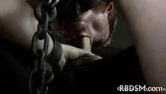 Reproducir El sadomasoquismo critica