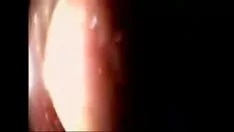Oynat Ass fucworld-beater dış kanattan olabildiğince