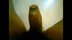 Abspielen Indischer nasser Phallus