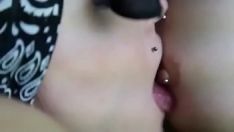 播放 嘻哈药他妈的