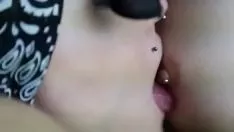 播放 嘻哈药他妈的