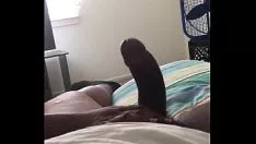 播放 不错的错觉