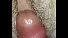 Riproduci La mia tollaca ha sposato una donna