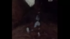 播放 大胸 siri 色情明星将她奶油般弯曲的阴户塞满以达到高潮！