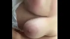 播放 乌纳斯赫莫萨斯大白山